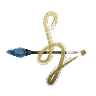 Logo Sorina M. Grigore